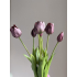 Bos real touch Tulpen 47cm