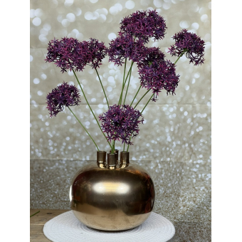 Tuit vaas met Allium