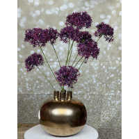 Tuit vaas met Allium