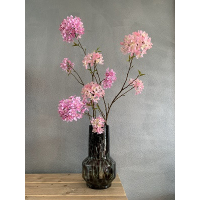 Vaas Bourges Leopard