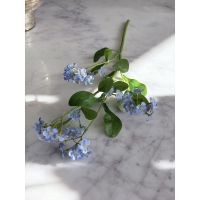 Zijden Vergeet-mij-nietjes