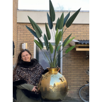 Vlinder vaas met kunst Strelitzia