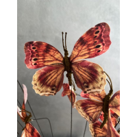 Vlindertak 60cm Emerald