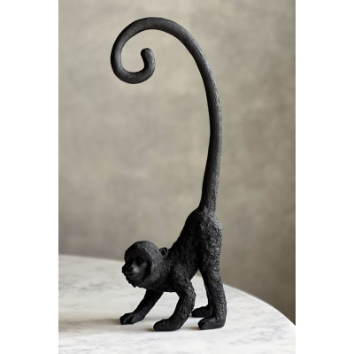 Monkey black Monkey black