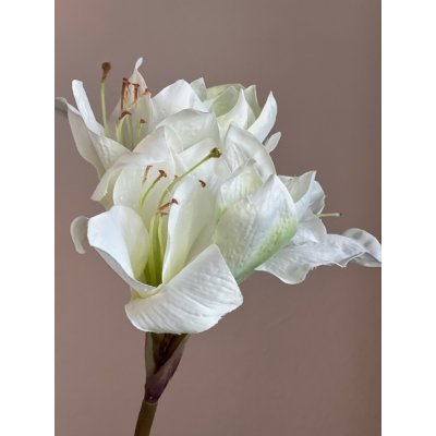  Zijden Amaryllis wit 80cm