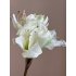  Zijden Amaryllis wit 80cm