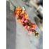 Antirrhinum