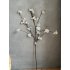 Appel bloesem 126cm