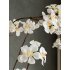 Appel bloesem 126cm