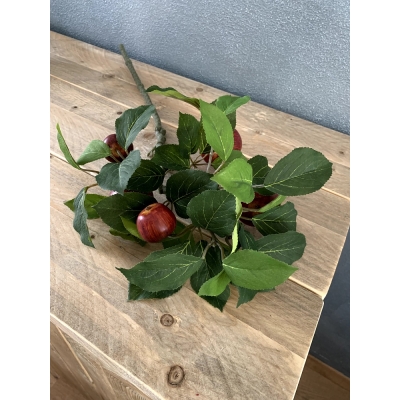Appeltak