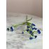 Mini Nicotiana blue 75cm