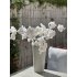 Tak zijde Prunus créme 84 cm