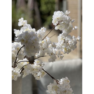 Tak zijde Prunus créme 84 cm Tak zijde Prunus créme 84 cm