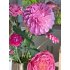 Zijden boeket Spring Pink
