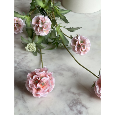 Combretocarpus oud roze 90cm Combretocarpus oud roze 90cm