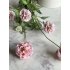 Combretocarpus oud roze 90cm