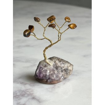 Mini Bonsai boom bruin