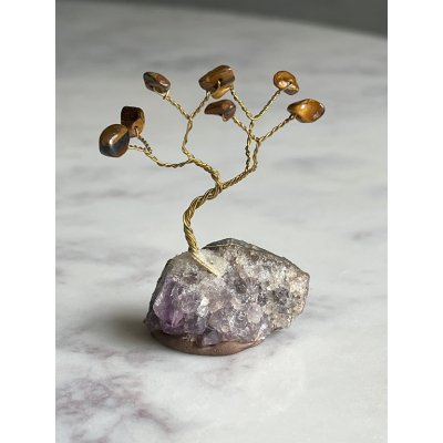 Mini Bonsai boom bruin Mini Bonsai boom bruin