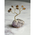 Mini Bonsai boom bruin