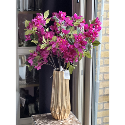 Bougainville tak 75cm Bougainville tak 75cm