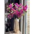 Bougainville tak 75cm