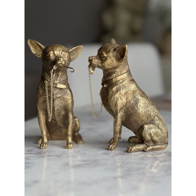 Chihuahua Beeld gold Chihuahua Beeld gold