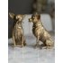 Chihuahua Beeld gold