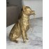 Chihuahua Beeld gold