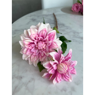 Dahlia Sharon 60cm Dahlia Sharon 60cm