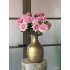 Dahlia Sharon 60cm