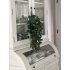 Toef hang Eucalyptus groen
