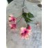 Zijden Hibiscus tak