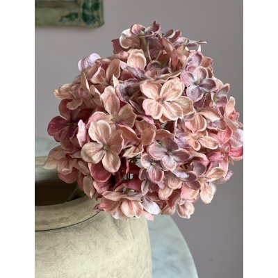 Hortensia pink salmon 40cm Hortensia pink salmon 40cm