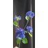 Hydrangea 80cm