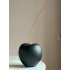 Cherry M Black Gold