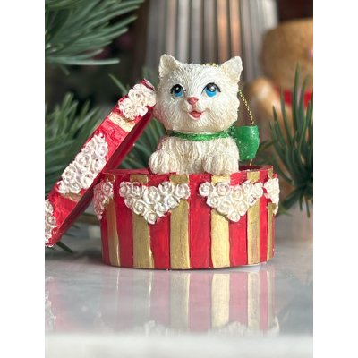 Katje in een feestdoos