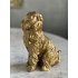 Housevitamin Labradoodle goud