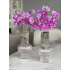 Lathyrus