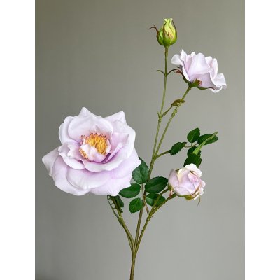 Tros Roos 64cm