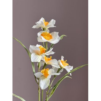 Zijden Narcis