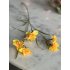 Narcis 68cm