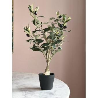 Kunst Olijf boom bonsai 50cm