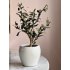 Kunst Olijf boom bonsai 50cm