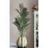 Chico kunt Palm in Sandy Wave vaas