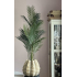 Chico kunt Palm in Sandy Wave vaas
