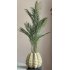Chico kunt Palm in Sandy Wave vaas