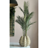 Chico kunt Palm in Sandy Wave vaas