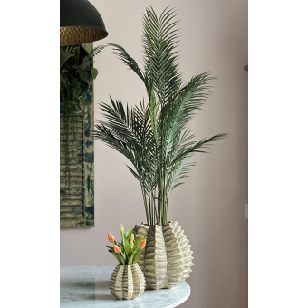 Chico kunt Palm in Sandy Wave vaas