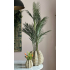 Chico kunt Palm in Sandy Wave vaas