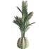 Chico kunt Palm in Sandy Wave vaas